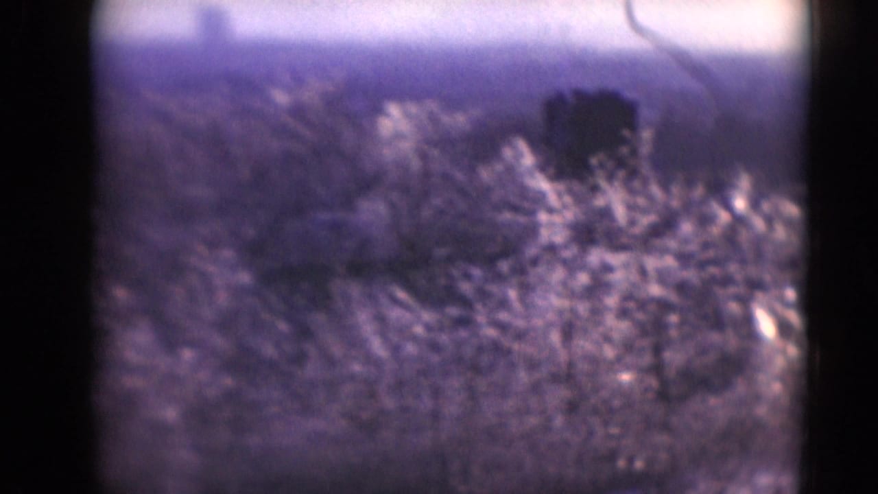 Soft color 8mm frame showing a bright frost- or blossom-covered shrub or tree against darker winter trees and distant landscape.