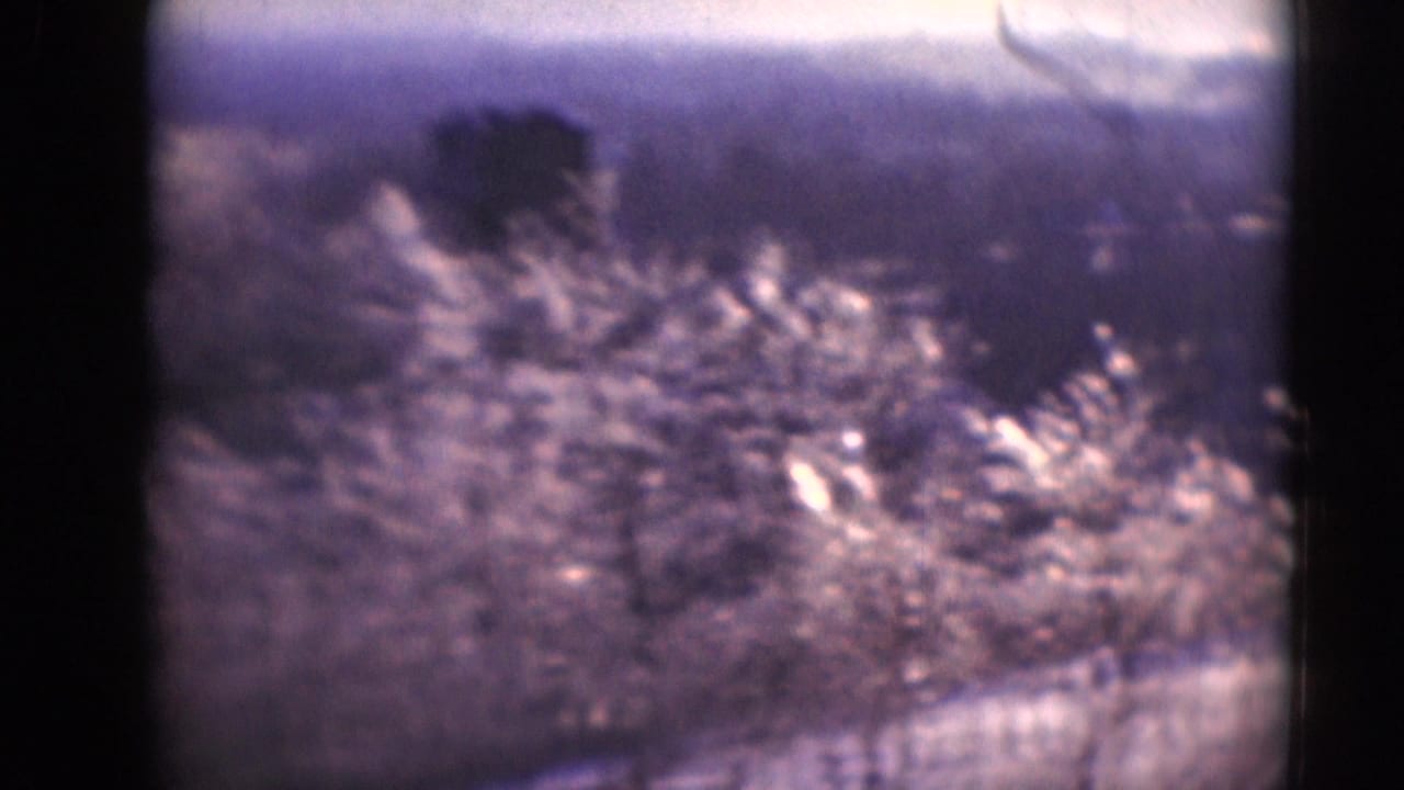 Soft 8mm view of bare trees and pale ground seen through dark film-frame edges.