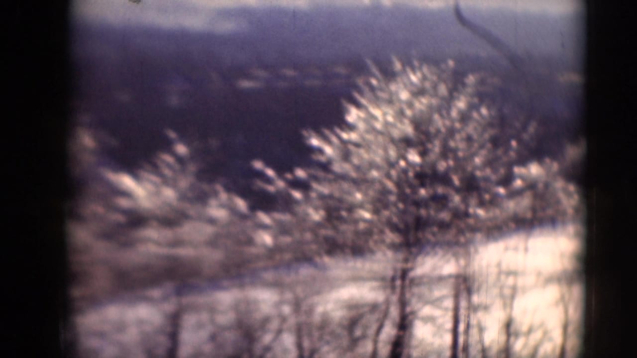 Bare trees and a light rural road or field edge appear in a hazy 8mm frame.