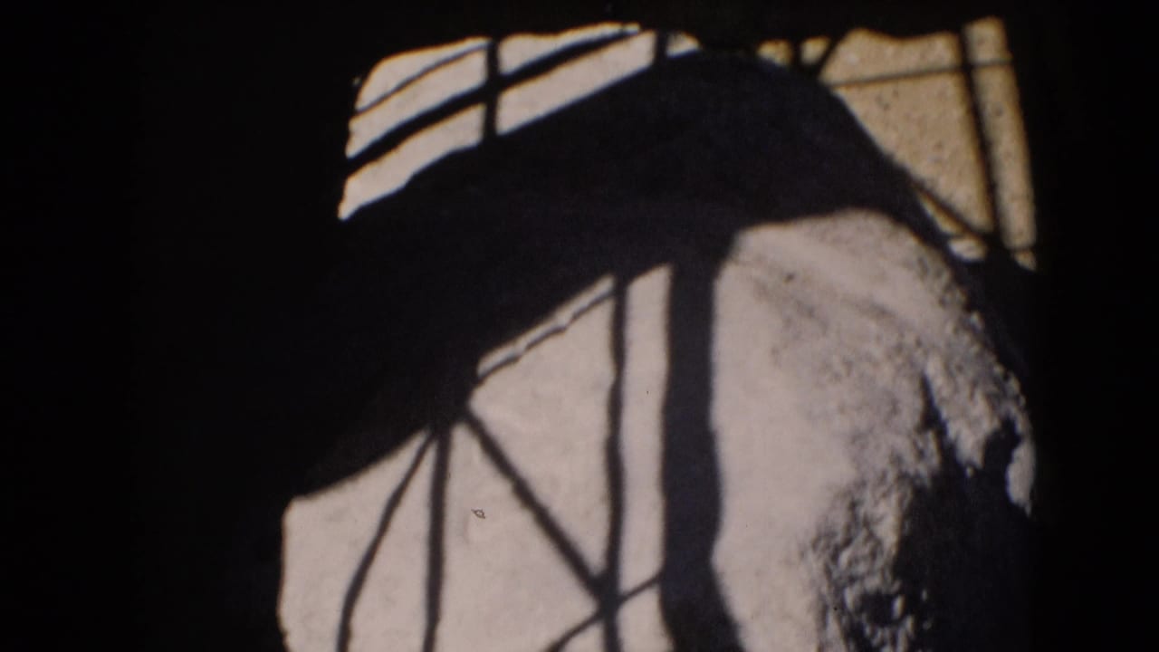 Dark geometric shadows fall across a pale textured wall or stone surface.