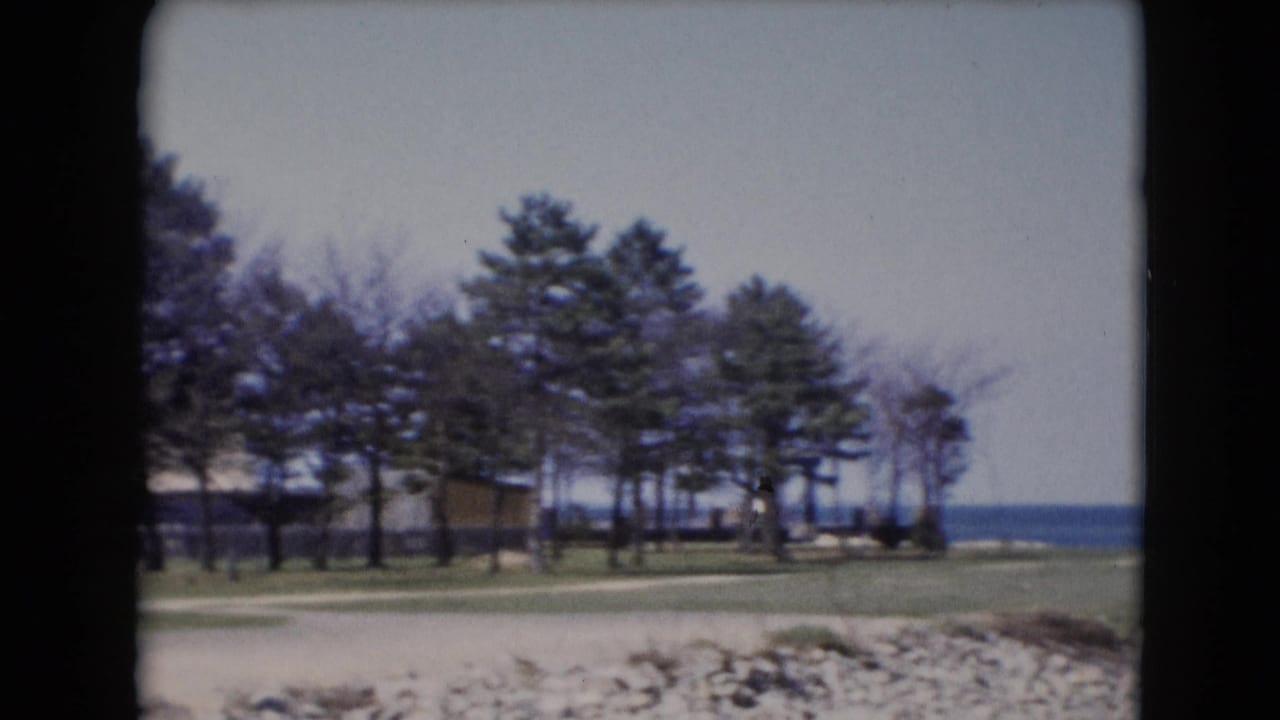 Tree line, low buildings, grass, rocks, and blue water in the distance.