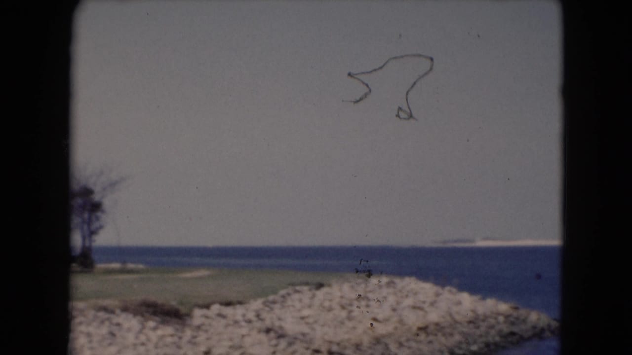 Soft 8mm frame of rocky shore, grass, open water, and pale sky, with a small tree group at the left edge.