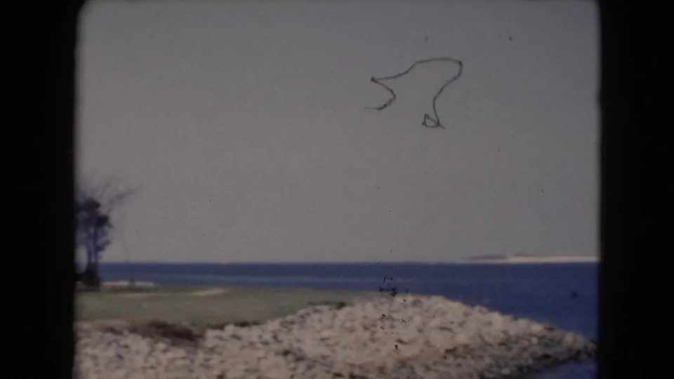 Soft 8mm frame of rocky shore, grass, open water, and pale sky, with a small tree group at the left edge.