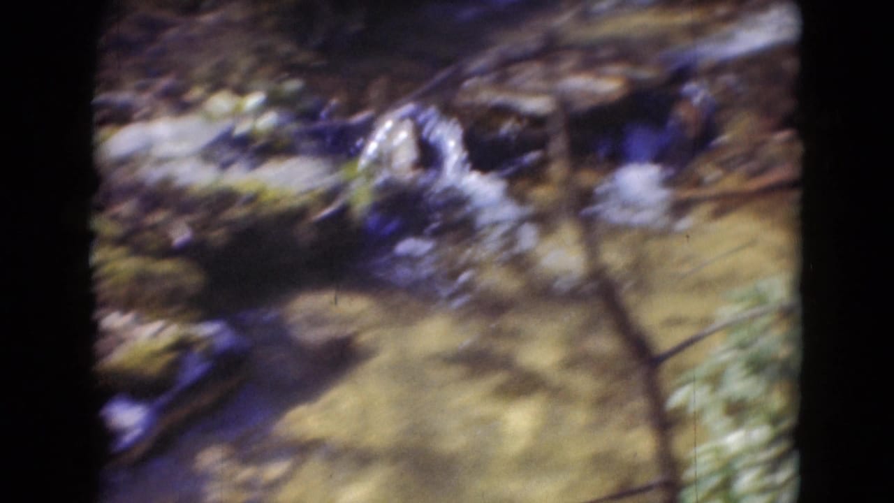 Soft 8mm frame of a shallow rocky stream in a wooded area, likely from the Middletown, Pennsylvania home-movie clip.