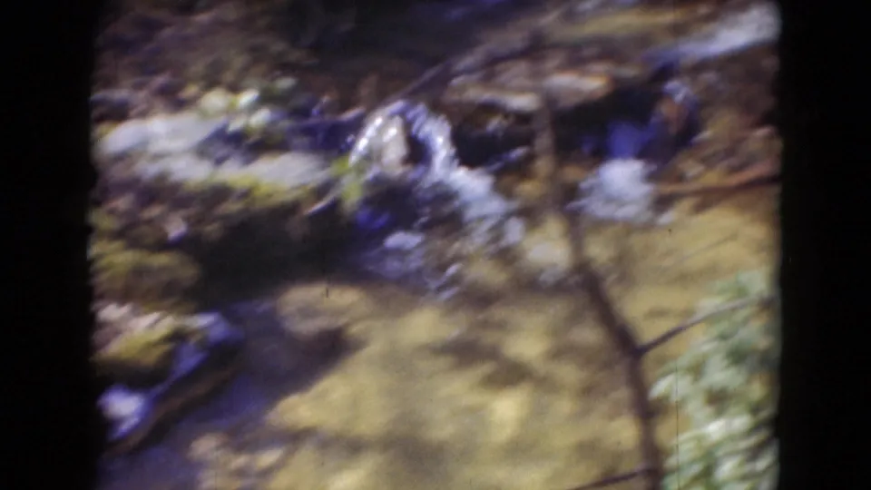 Soft 8mm frame of a shallow rocky stream in a wooded area, likely from the Middletown, Pennsylvania home-movie clip.