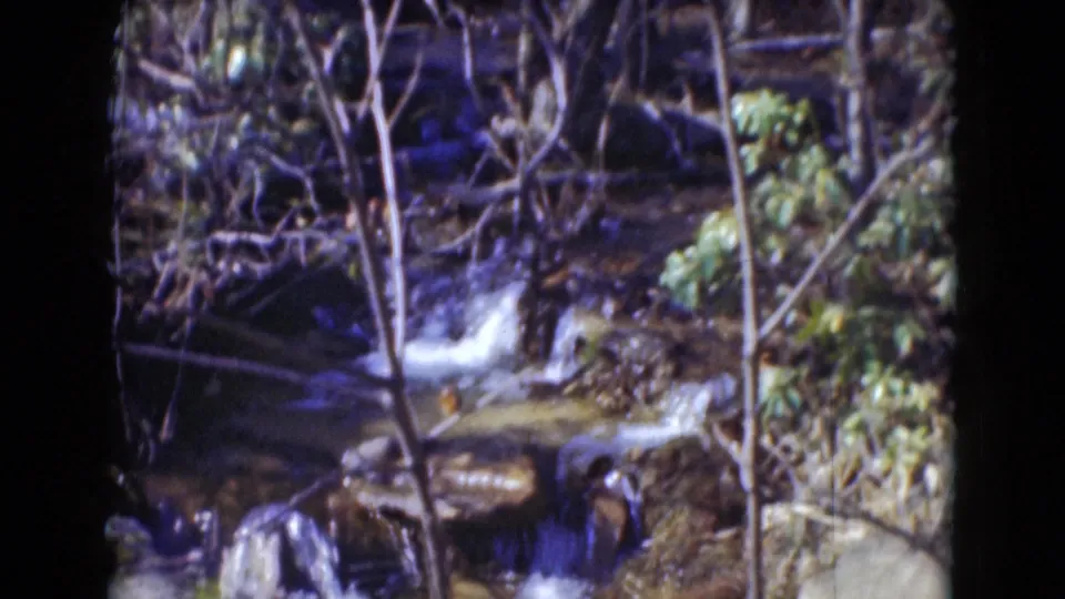 Small waterfall or cascade seen through bare branches and green shrubs in archival 8mm footage from the Middletown, Pennsylvania clip.