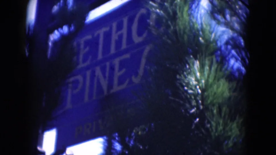 Close 8mm frame of the Bethco Pines wooden sign in Middletown, Pennsylvania, partly hidden by pine branches and shadow.
