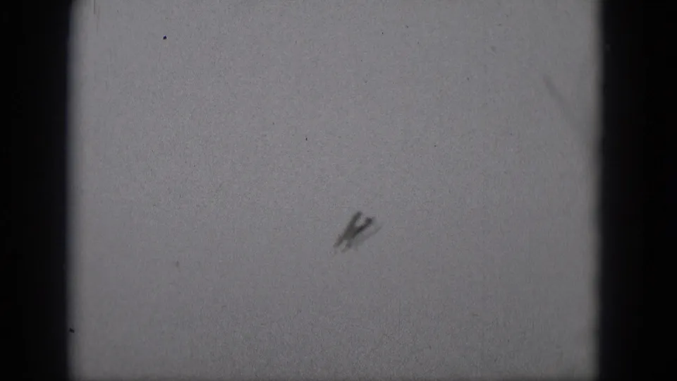 A small aircraft silhouette crosses the grainy sky in the 1975 Middletown, Pennsylvania home-movie footage.