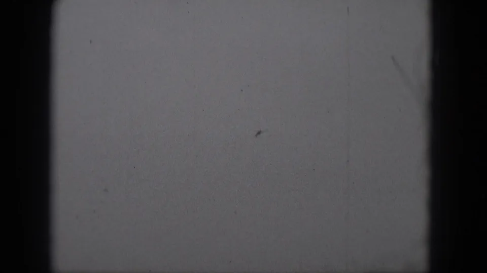 1975 Middletown, Pennsylvania 8mm frame showing a small airplane silhouette high against a pale monochrome sky.