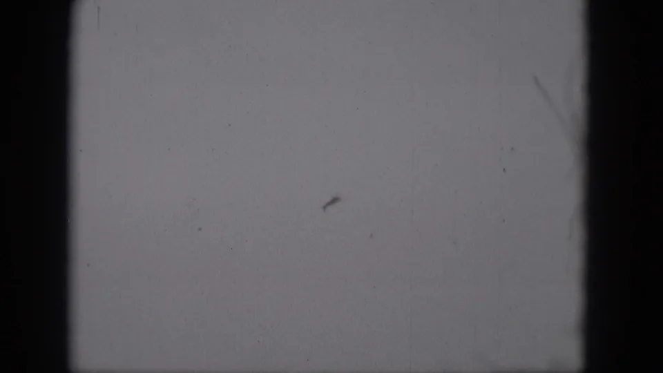 Final 1975 Middletown-supported frame showing a small dark aircraft shape in open sky with pronounced 8mm film texture.