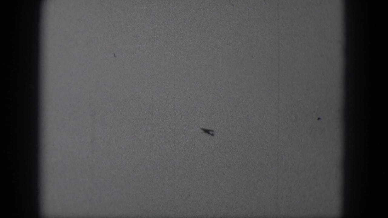Small single-engine airplane appears as a dark silhouette in grainy 8mm footage from Middletown, Pennsylvania.
