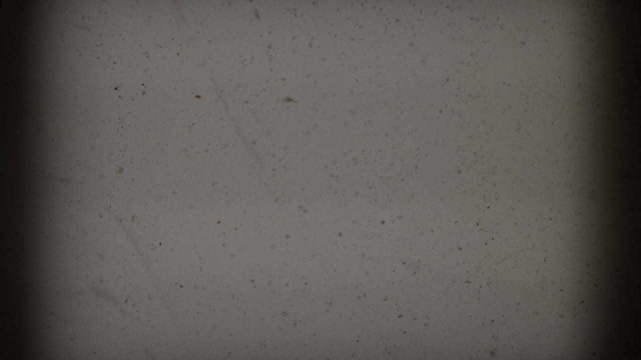Mostly blank dusty film frame with dark gate edge and muted gray exposure.