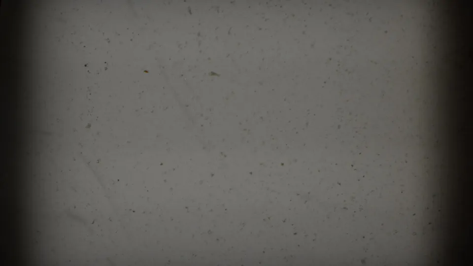 Soft, dusty 8mm frame from the Portugal travel reel, showing film gate edges and little visible subject detail.