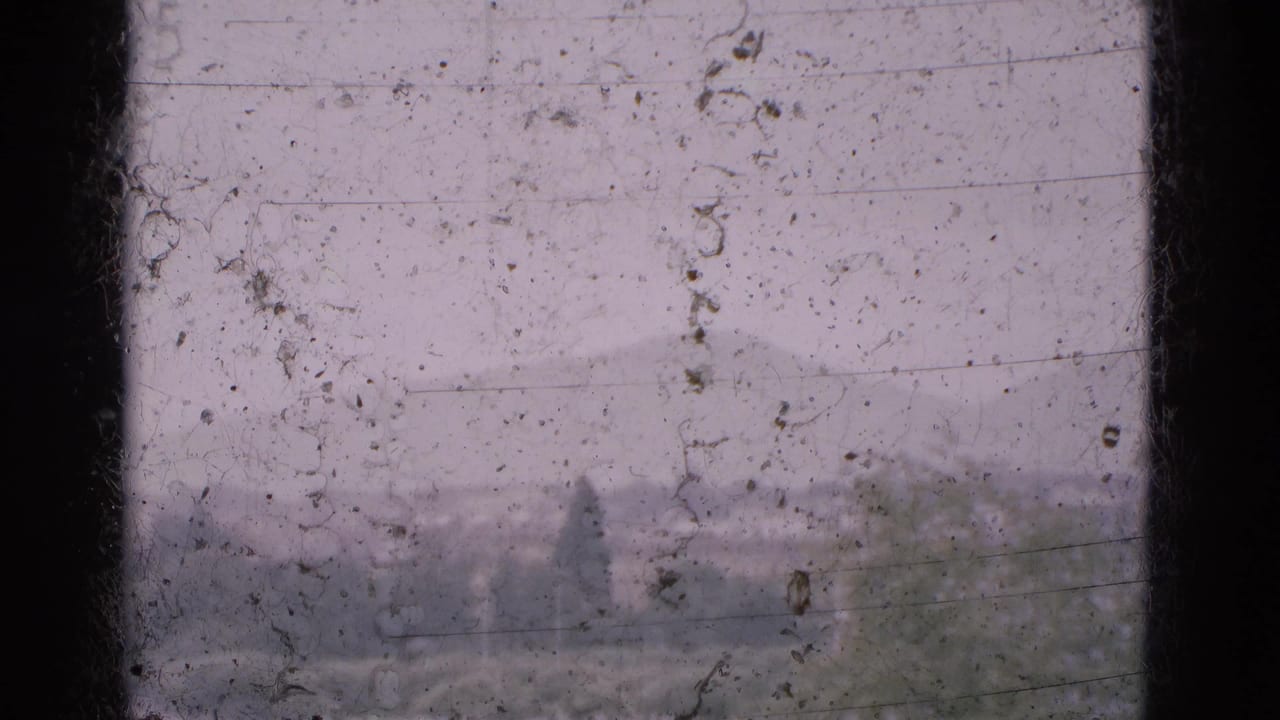 Dusty window panes frame a hazy mountain ridge and distant trees.