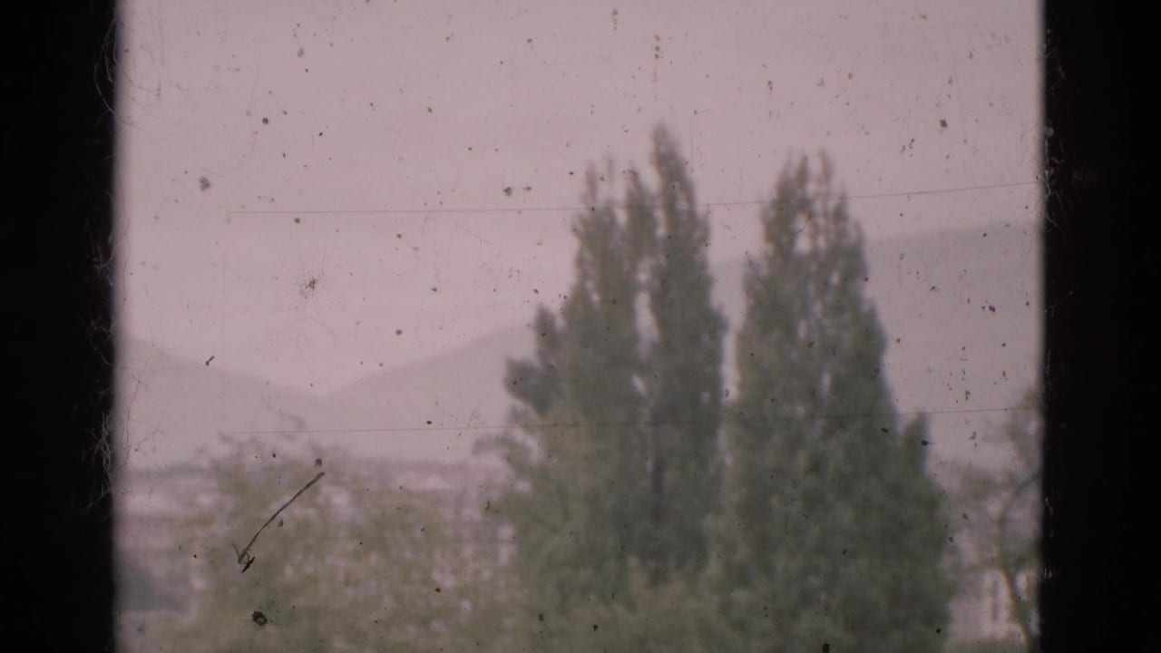 Tall trees and hazy hills seen through dark window bars.