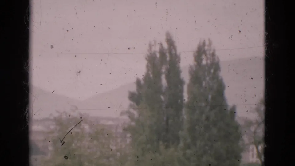 1975 Portugal home-movie frame showing tall trees, distant hills, and dark window framing in soft focus.