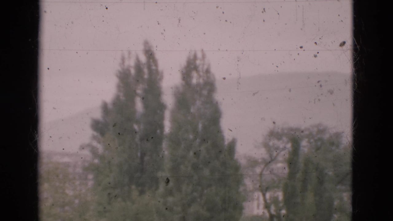 Trees and distant hillside viewed through vertical window framing.