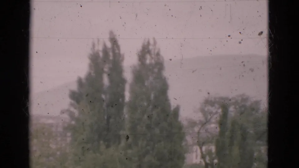 Soft 8mm view of trees and hazy hills in Portugal, framed by dark vertical window bars.