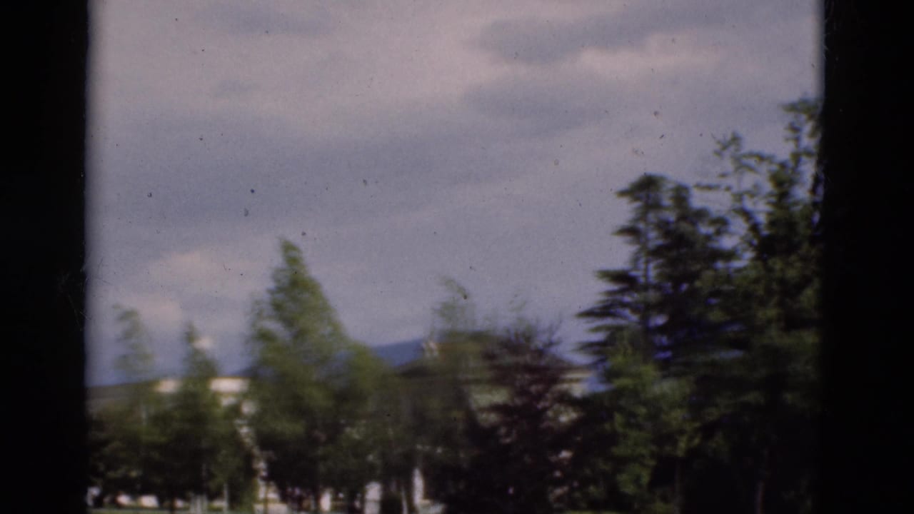 Trees and a pale building sit behind a dark vertical foreground strip.
