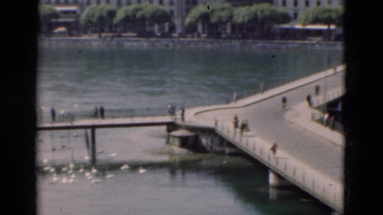 Curved lakeside bridge with people walking and water birds below.