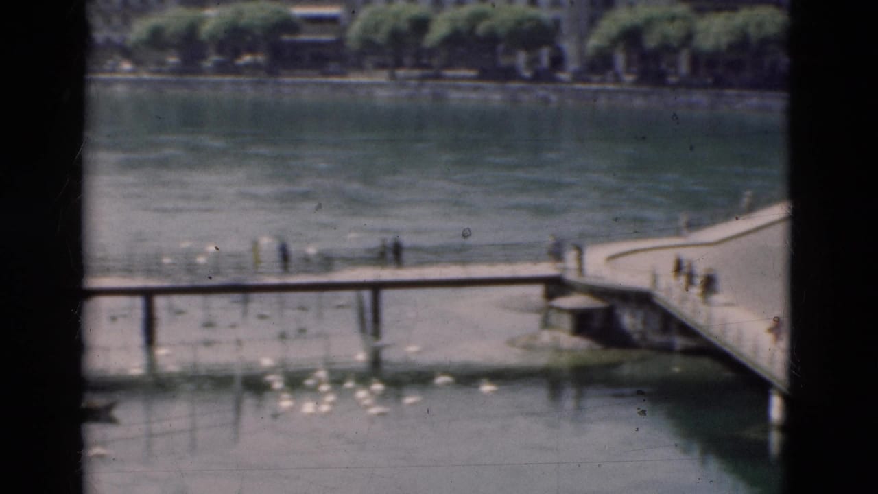 Lakeside walkway with pedestrians, birds on the water, and buildings across the lake.