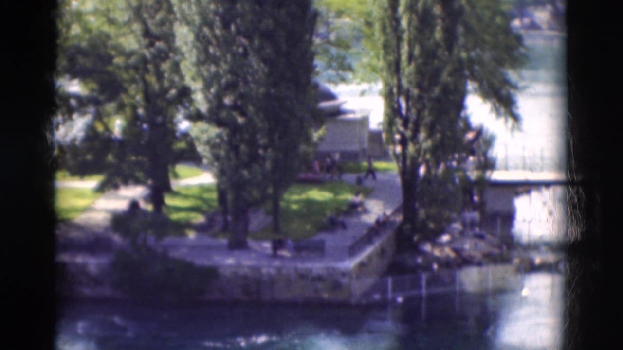 Tree-lined stone riverbank with grass, paths, water, and tiny distant park visitors.