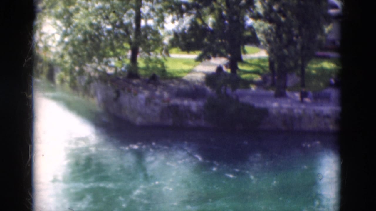 River water beside a stone embankment and leafy park trees.