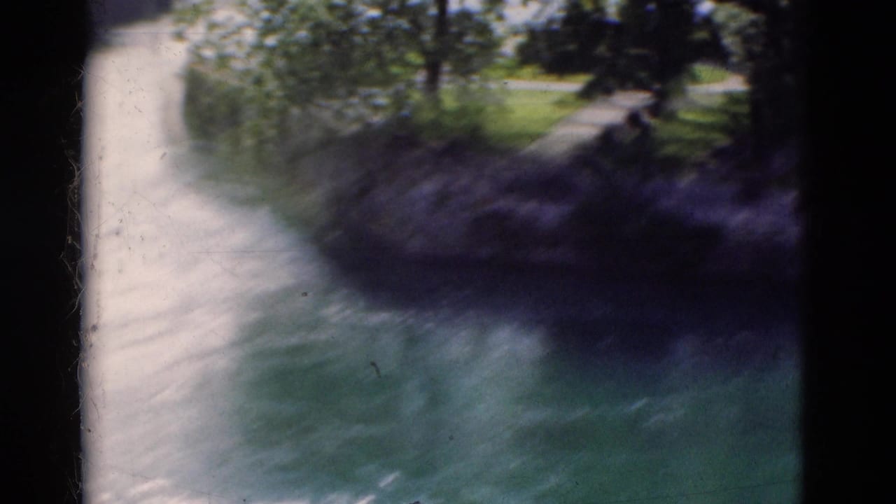 Blue-green water rushes beside a pale embankment and shaded trees.