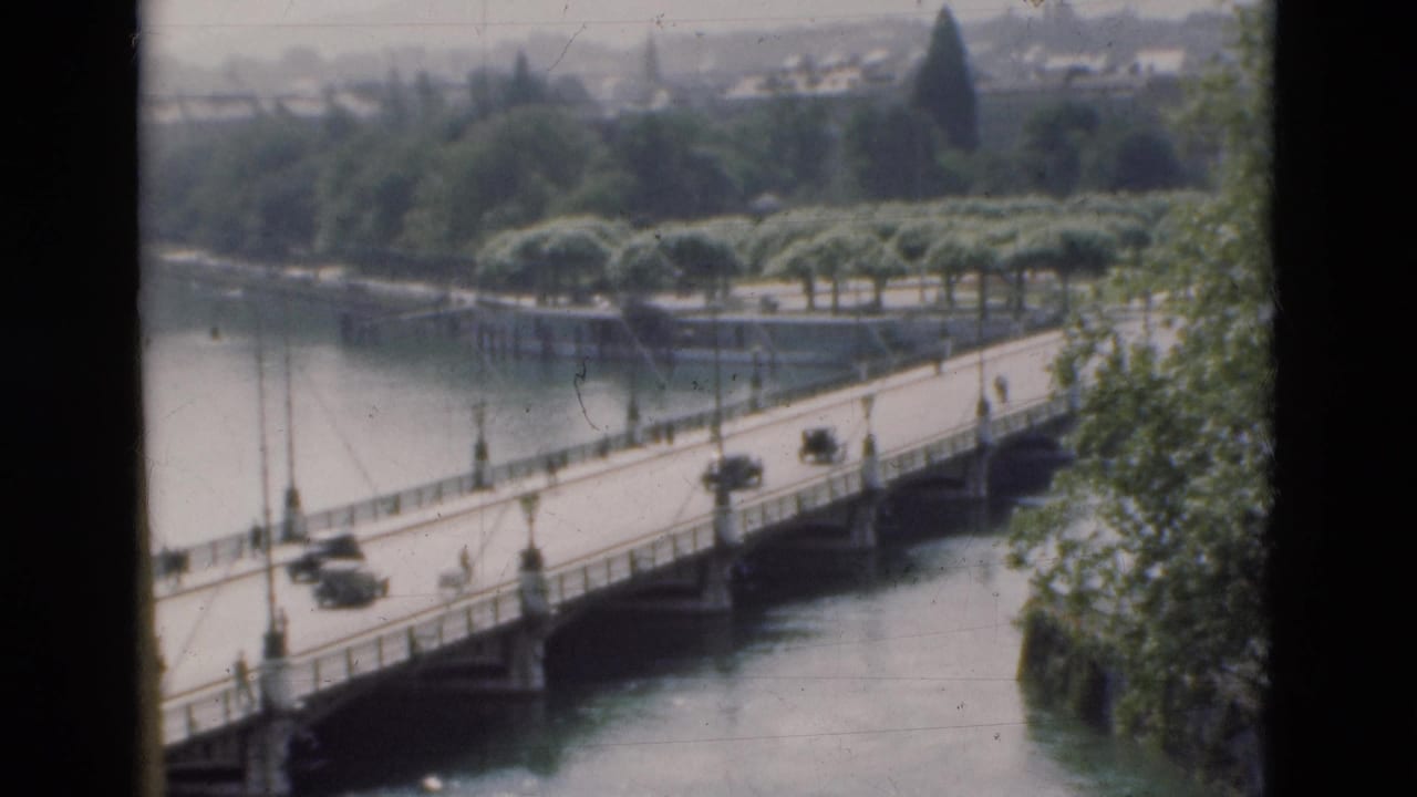 Cars travel across a bridge over water, framed by trees and distant buildings.