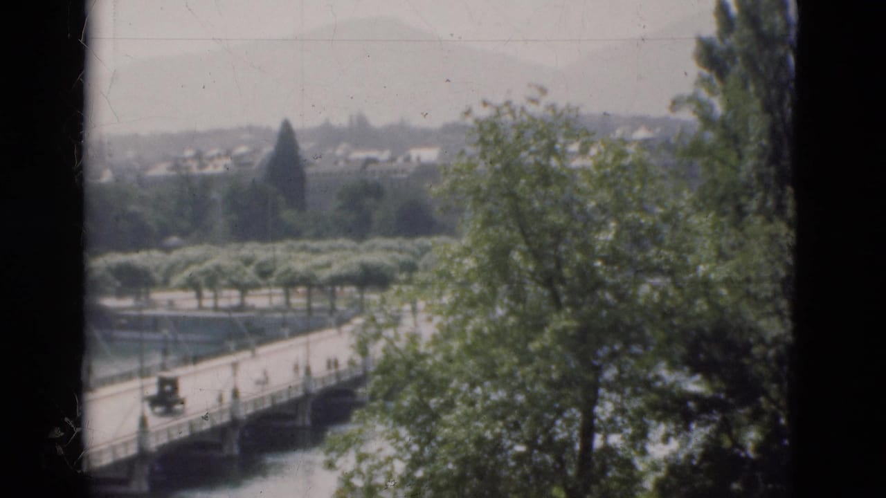 Bridge and riverbank seen through trees, with a car on the roadway.