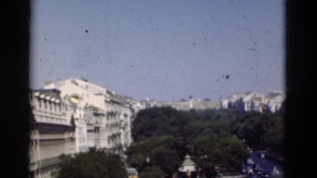 Elevated view over pale city buildings, tree-lined streets, and blue sky.
