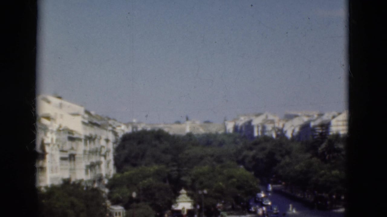 City buildings and trees seen from above with a street running through the center.