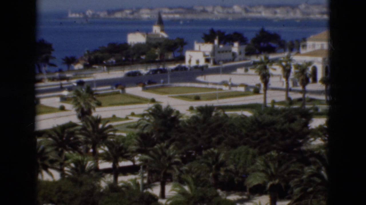 Elevated view of palm gardens, road, white buildings, church steeple, and blue water beyond.