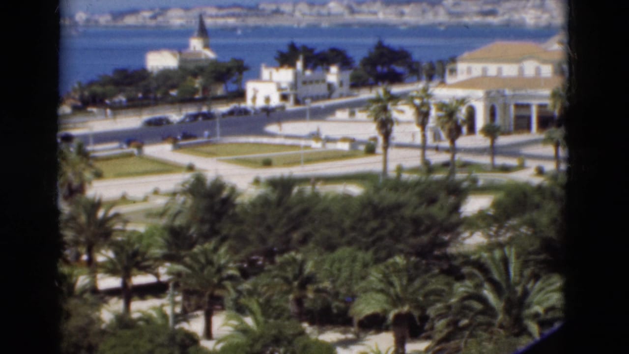Coastal city view with palm trees, white waterfront buildings, a road, and bay in the distance.