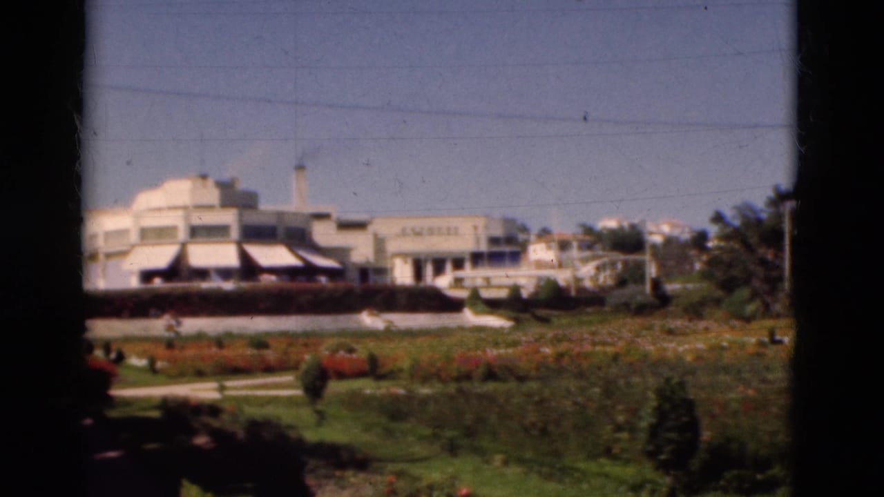 Garden and white building seen through dark vertical borders, with trees at right.