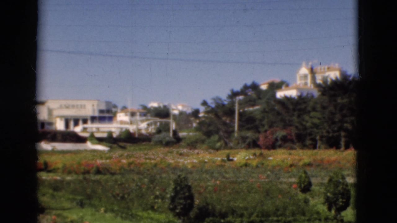 Garden with flowerbeds, lawns, trees, and white buildings seen through dark vertical window bars.