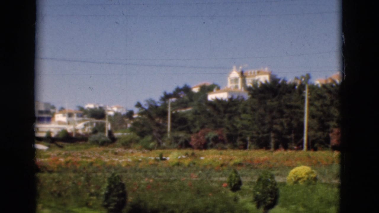Wide garden view with lawns, trees, shrubs, utility poles, and pale buildings on a hillside.