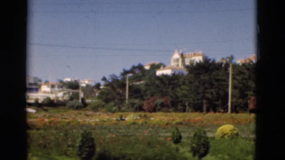 1975 Portugal home-movie view across a bright garden toward trees, utility poles, and pale buildings under a clear sky.