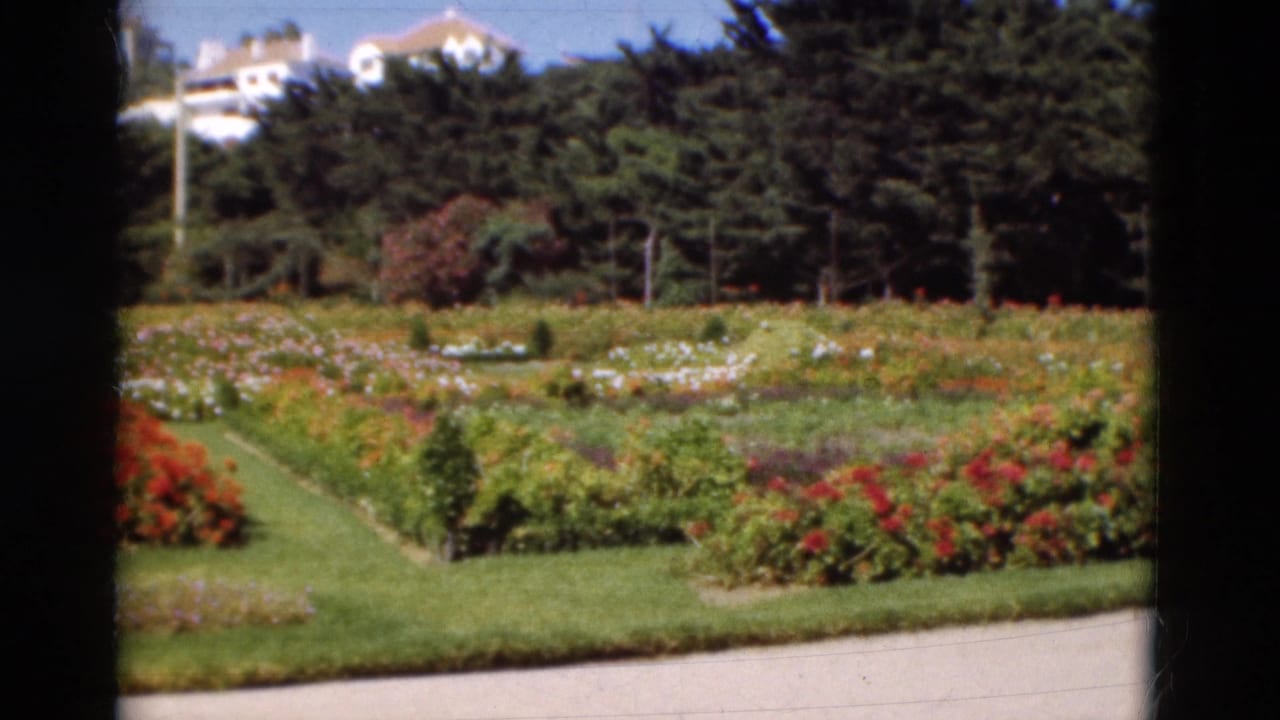 Sunlit flower garden with lawn, rose beds, evergreen trees, and pale buildings above the treeline.