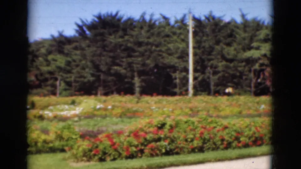 1975 Portugal home-movie still focused on low flower beds, lawn edging, dense trees, and a tall light pole under blue sky.