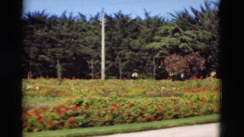 1975 Portugal frame showing red garden flowers, trimmed grass, a pale path, tall evergreens, and a central light pole in soft 8mm color.