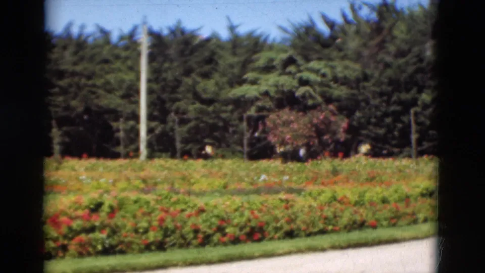 1975 Portugal 8mm frame showing red flowerbeds, lawn, paved path, evergreen trees, blue sky, and a utility pole.