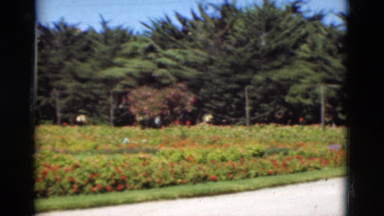 1975 Portugal garden scene on 8mm film, with planted beds, a walkway edge, evergreen trees, and a clear sky.