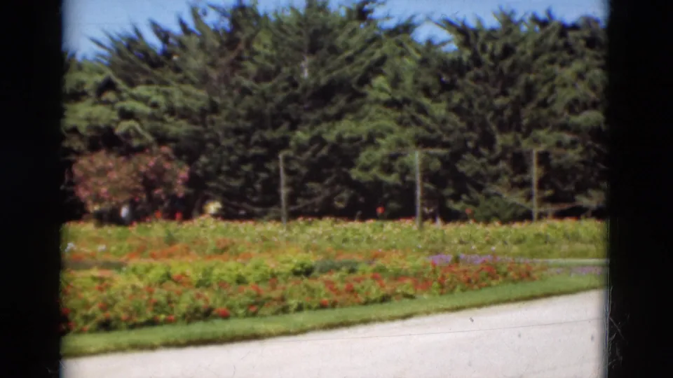 1975 Portugal 8mm view across low flowerbeds and lawn toward a dense line of evergreen trees.