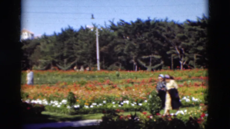 1975 Portugal garden frame with distant visitors near red and white flowerbeds, backed by evergreens and a utility pole.