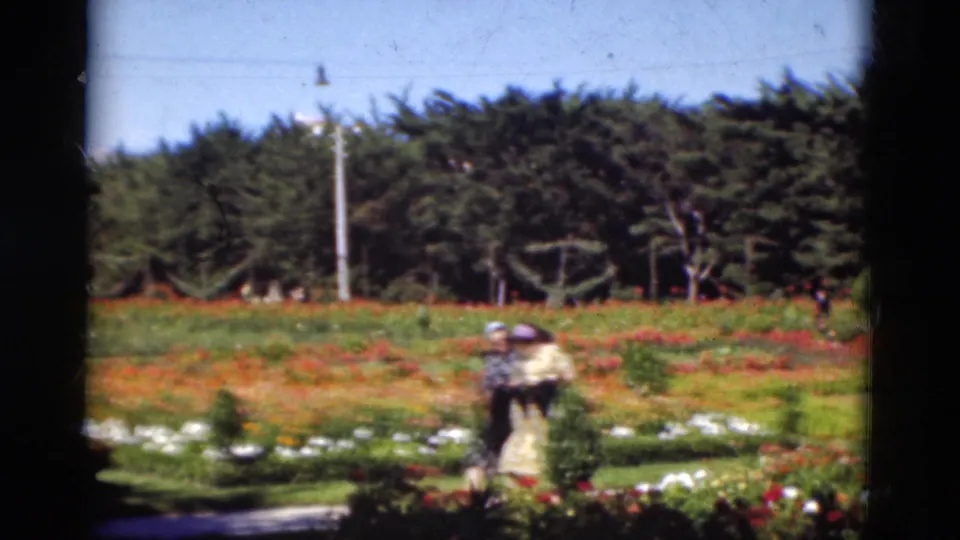 In Portugal 1975 footage, two distant women appear to walk through a sunlit garden with red flowers, clipped shrubs, and trees.