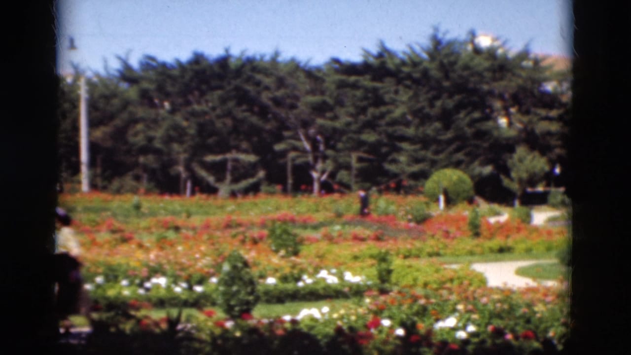 A landscaped garden with red flowers, white blooms, shrubs, paths, and distant walkers.