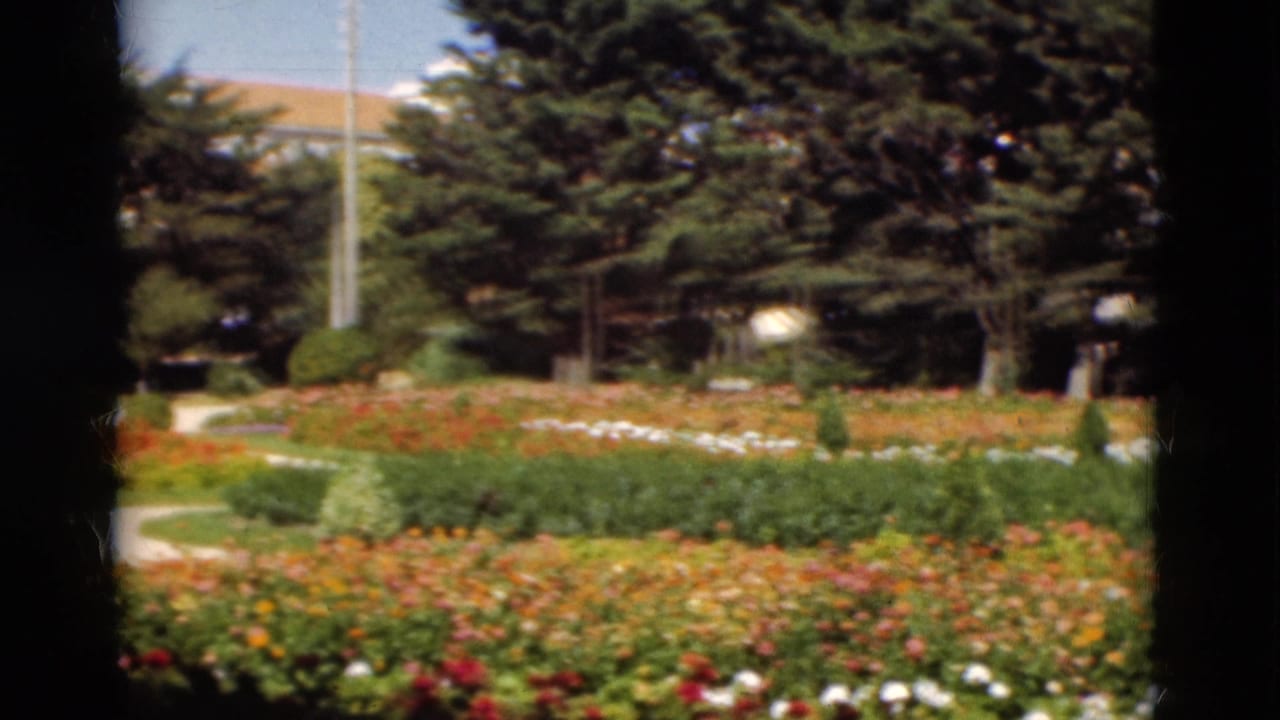 1975 Portugal 8mm frame showing landscaped flower beds and trees through a dark window or gate-like edge.