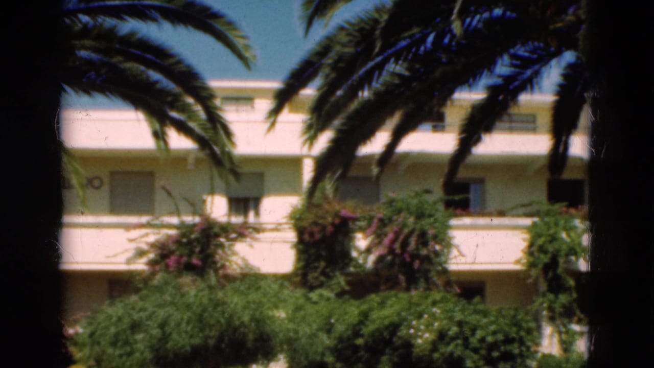 White building partly hidden by palm trees and dense greenery under blue sky.