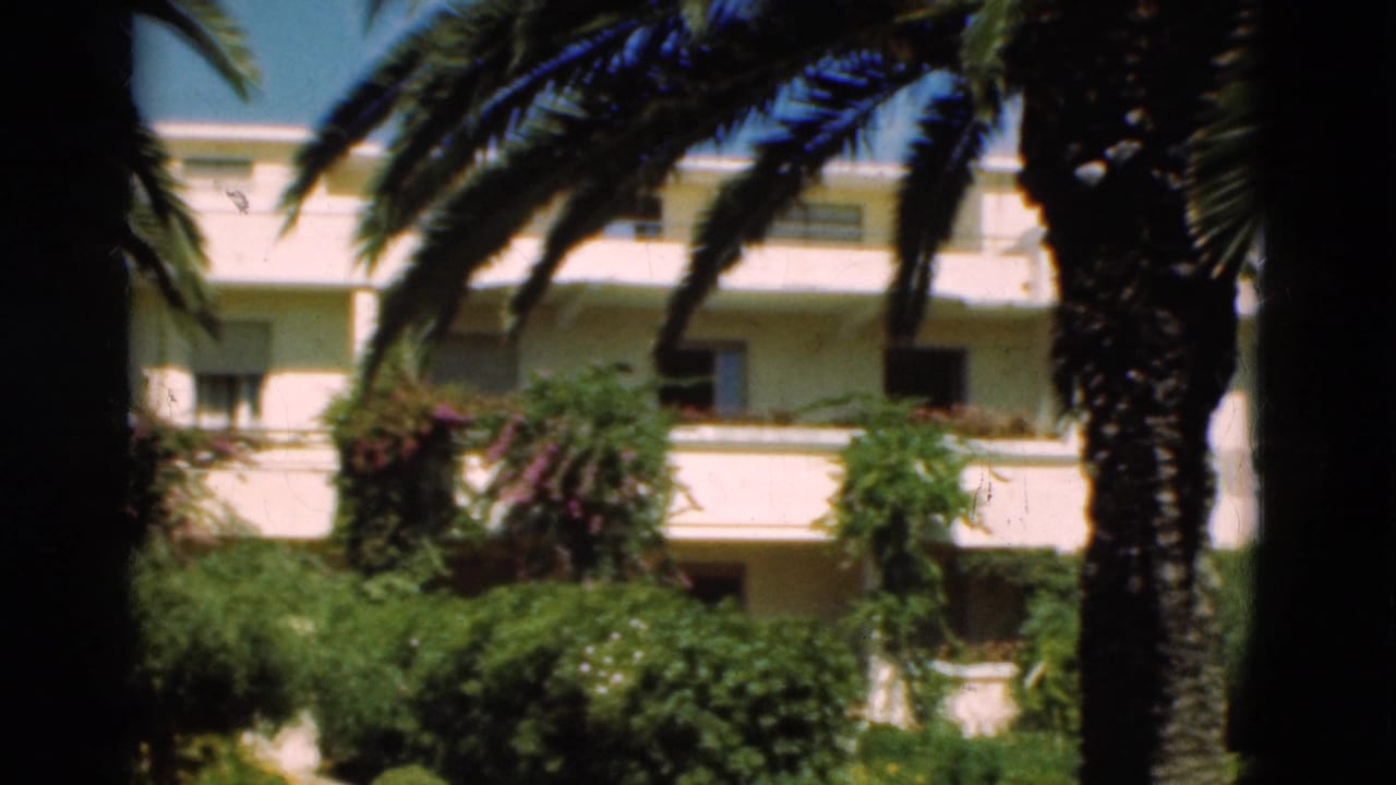 Sunlit white balconies seen through palm fronds and garden foliage.